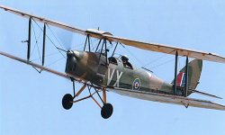 Tigermoth in Lincolnshire